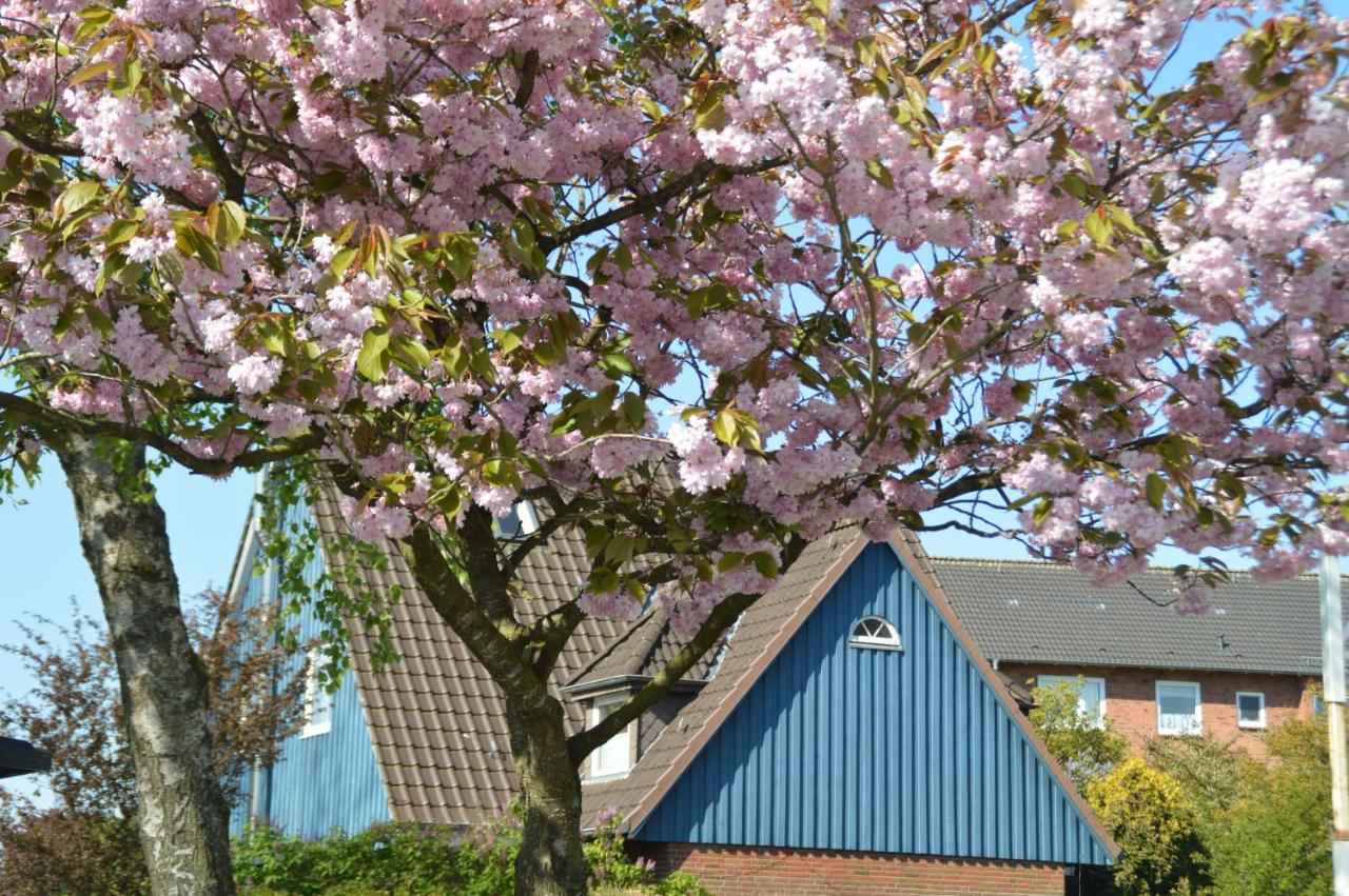 Casa Azul Daire Flensburg Dış mekan fotoğraf