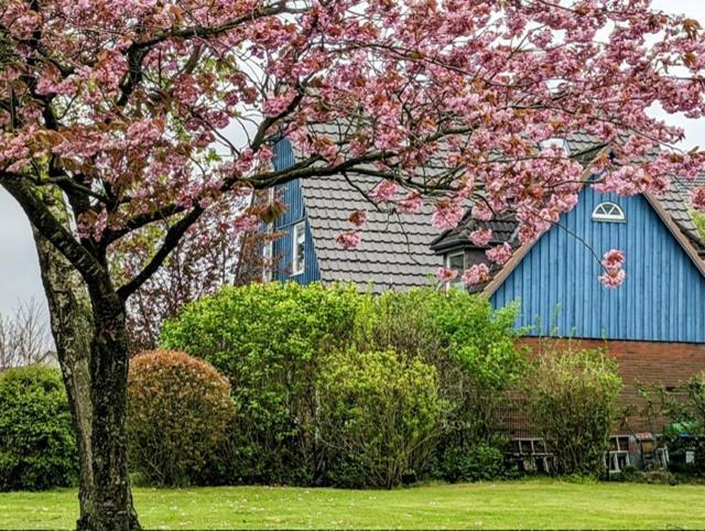 Casa Azul Daire Flensburg Dış mekan fotoğraf